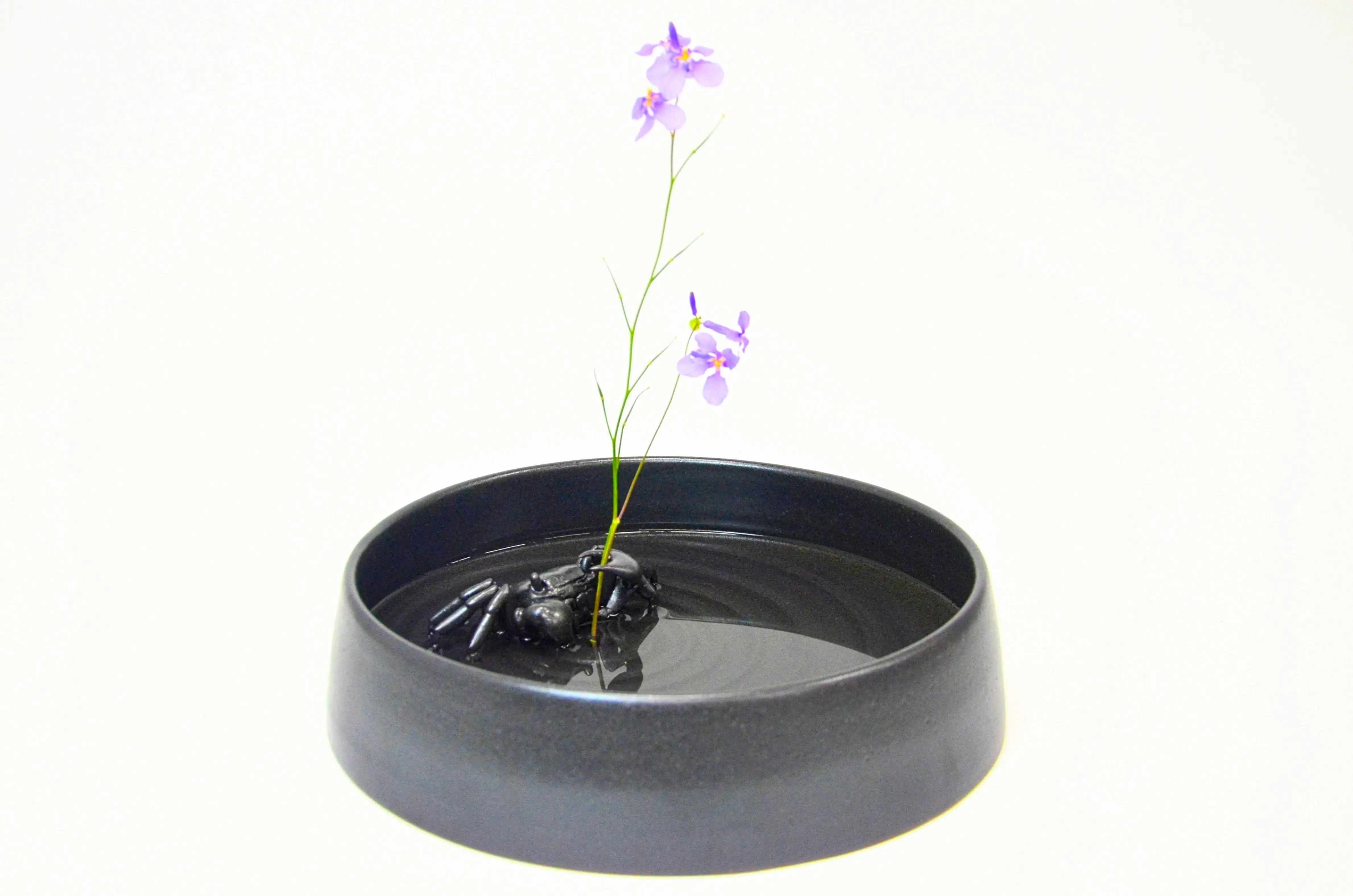 野村俊介の陶芸作品、濃灰色の水盤、水盤の中央から少し縁に外れた部分に陶器の蟹が配置されており、その蟹がハサミで、一輪の挿し花を支持している。