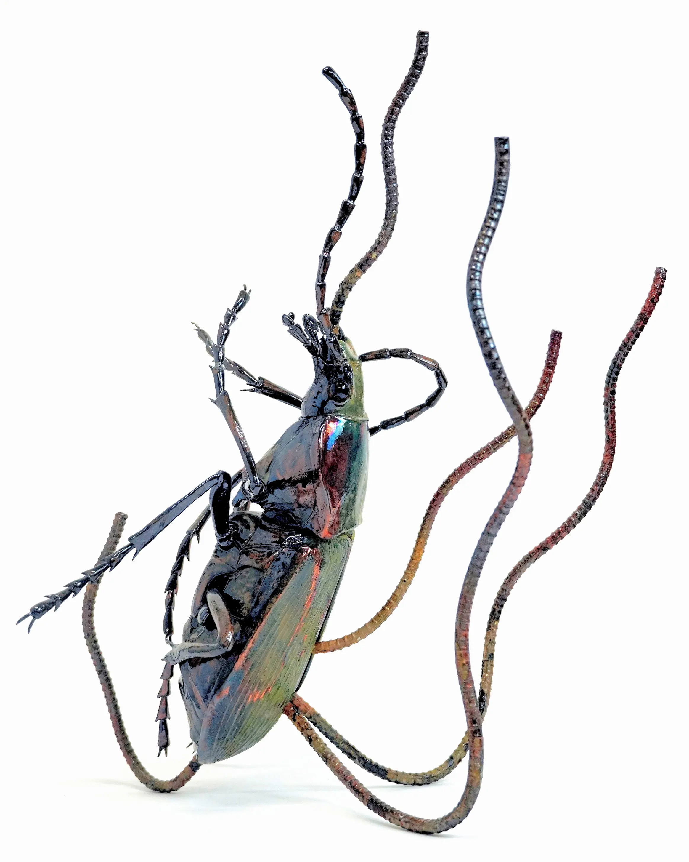 野村俊介の陶芸作品、鉄骨と粘土で冬虫夏草を模写した作品、鉄骨で菌体を表し、粘土で甲虫を表している、甲虫は光沢のある深緑色の体色をしており、体が鉛直に立ち上がったまま固定されており、背部から３、４本、口から１本、うねりのある鉄骨が突き出ている、作品全体は鉄骨により支持されている。