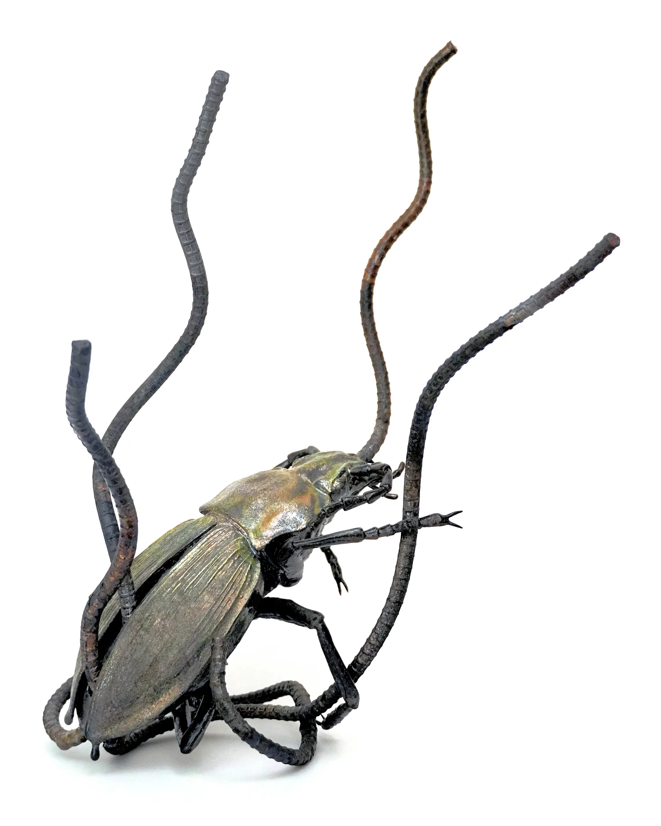 野村俊介の陶芸作品、鉄骨と粘土で冬虫夏草を模写した作品、鉄骨で菌体を表し、粘土で甲虫を表している、甲虫は深緑色の体色をしており、上体が少し浮き上がった状態で斜めに横たわって固定されており、腹部と背部から複数本、口から１本、うねりのある鉄骨が突き出ている、作品全体は鉄骨により支持されている。