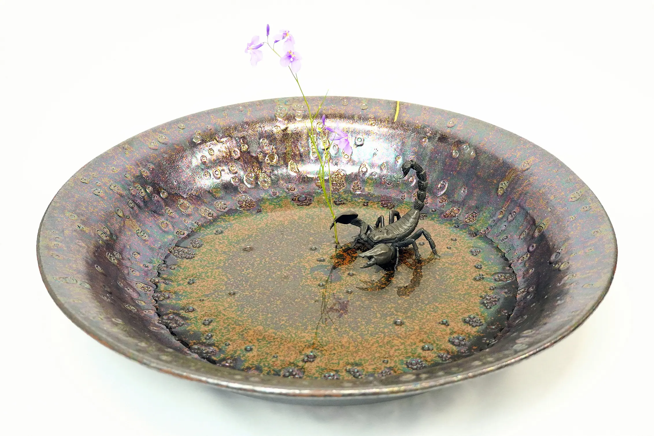 野村俊介の陶芸作品、光沢のある褐色の水盤、水盤の底部には黄色かかった光沢がある、水盤の中央から少し縁に外れた部分にブロンズ製のサソリが配置されている、サソリは尾部を反らせて警戒した様子を見せている、そのサソリがハサミで、一輪の挿し花を支持している。
