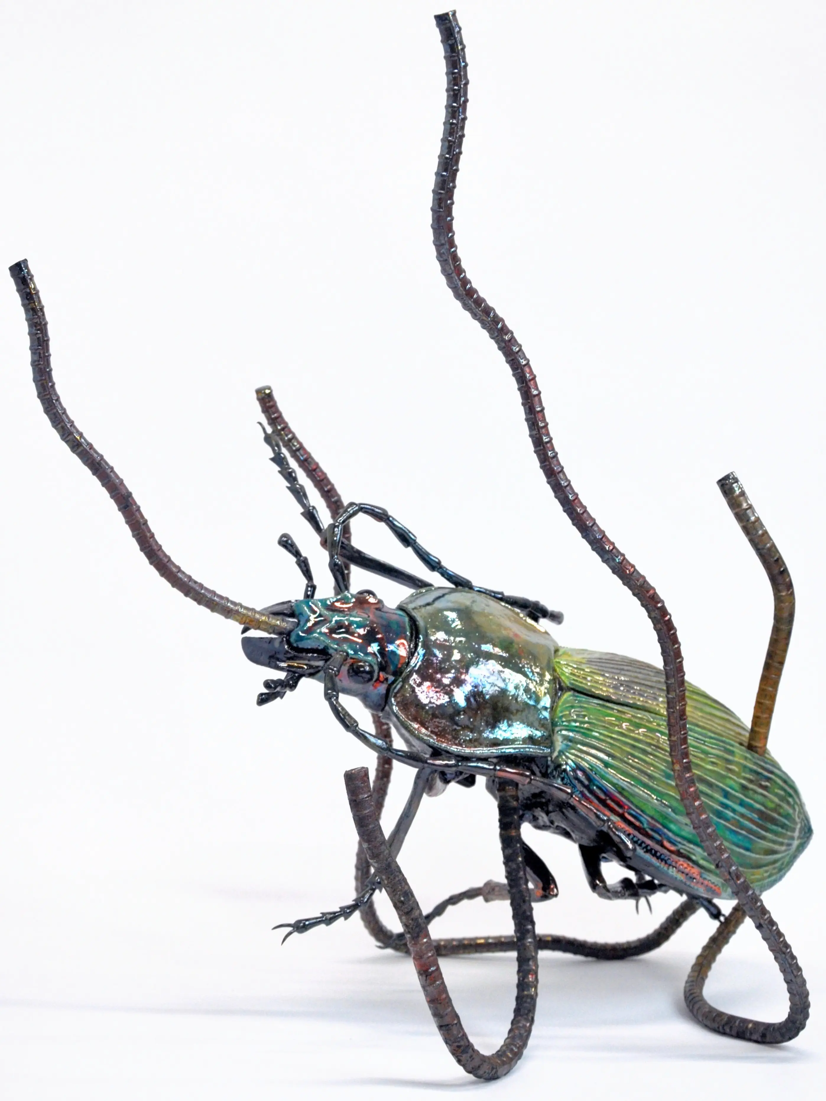 野村俊介の陶芸作品、鉄骨と粘土で冬虫夏草を模写した作品、鉄骨で菌体を表し、粘土で甲虫を表している、甲虫は光沢のある深緑色の体色をしており、上体が少し浮き上がった状態で斜めに横たわって固定されており、腹部、背部、胸部、口からうねりのある鉄骨が突き出ている、作品全体は鉄骨により支持されている。