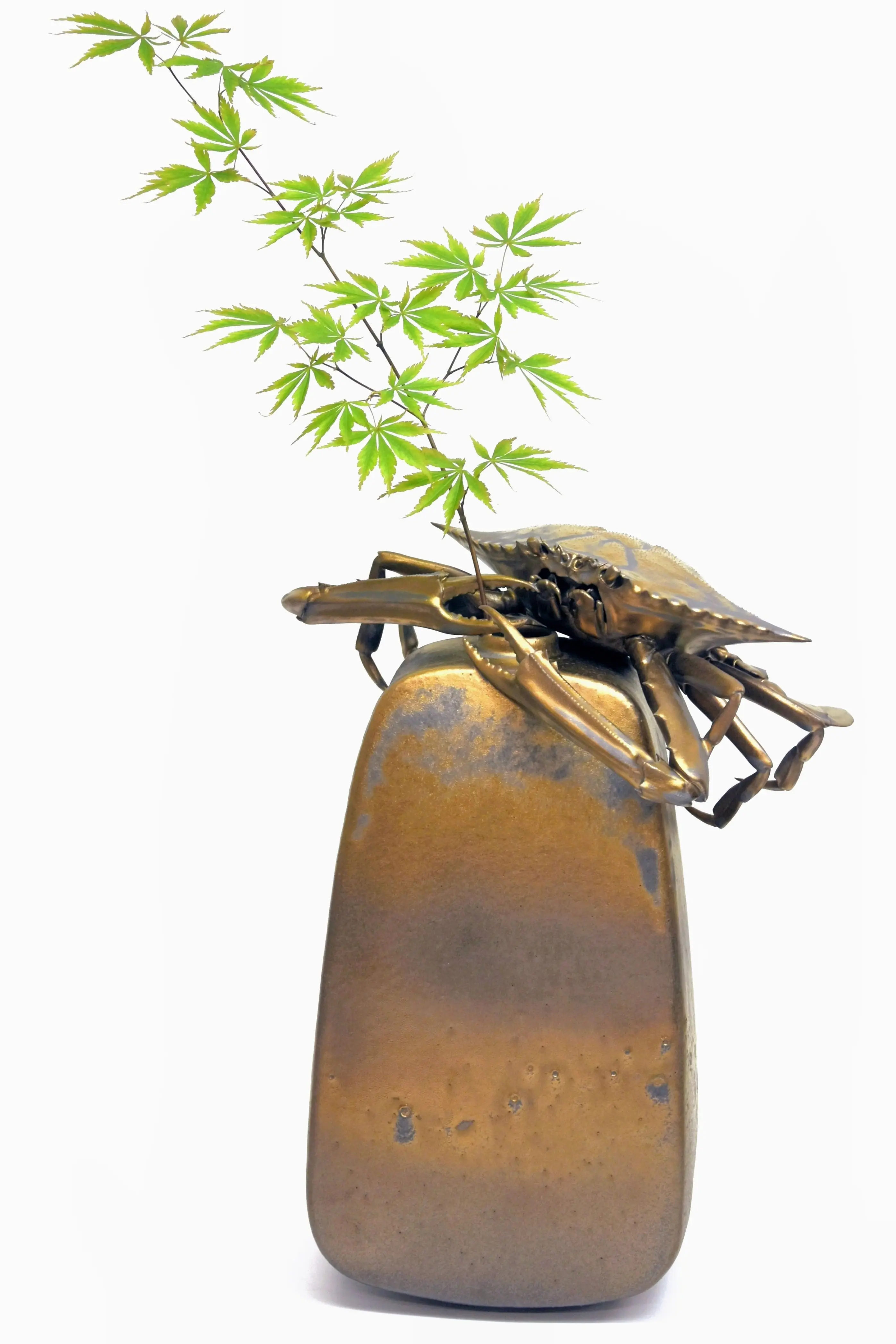 野村俊介の陶芸作品、金色の表面を有し、角が丸みを帯びた四角柱形状の一輪挿しの上に、金色の表面を有するカニが載っている、カニは両方のハサミで、一輪挿しに楓の枝を支えているように見える。