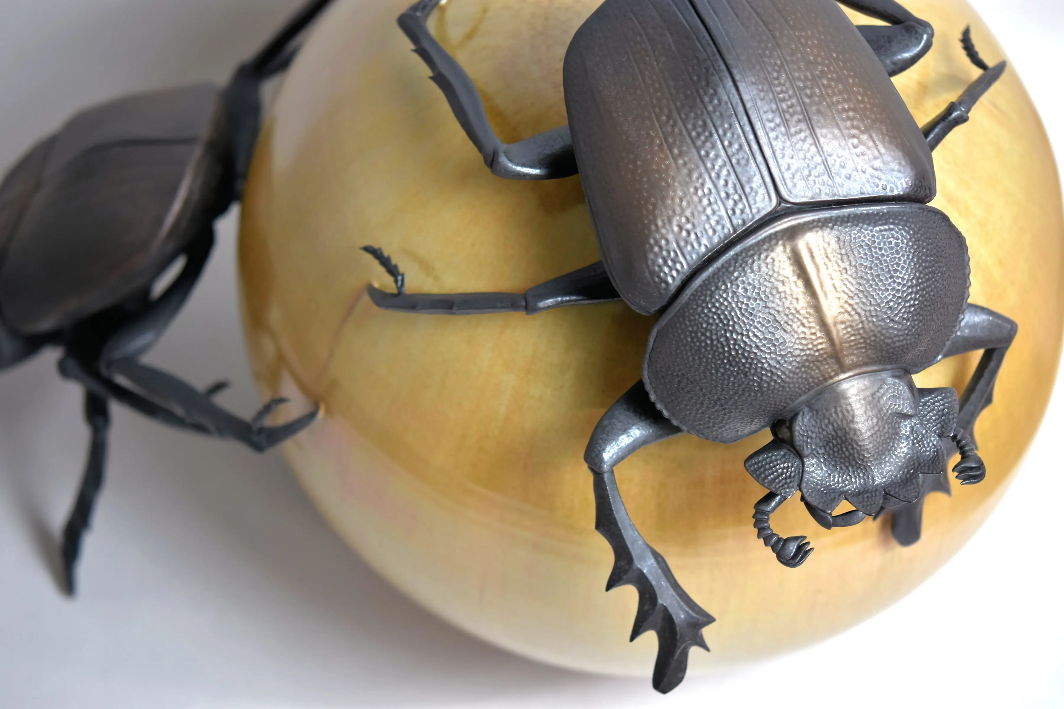 野村俊介の陶芸作品、一匹のスカラベが後ろ足で、黄褐色の球体を転がしている、球体の上にもう一匹のスカラベが載っている、スカラベは鈍く光る茶褐色をしている。